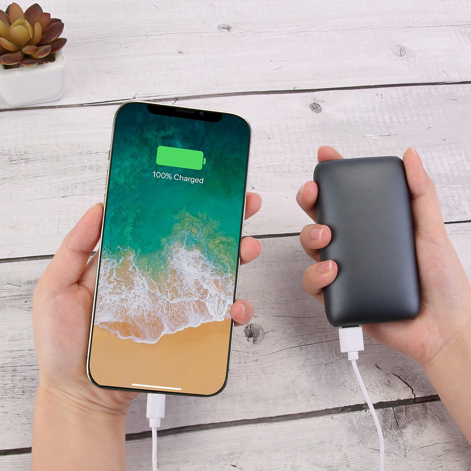 Electric Double Sided Hand Warmer